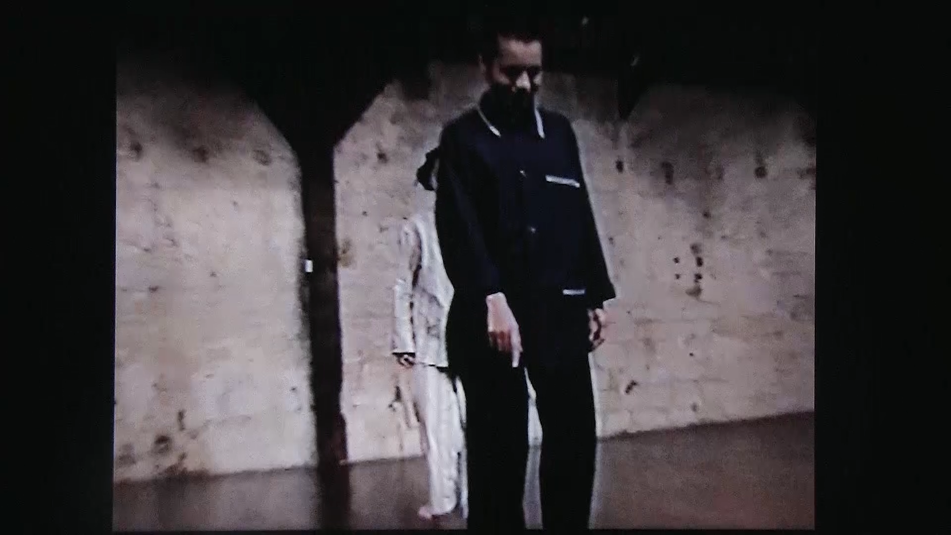 Poulailler/cauchemare. Chor. Marc Joseph SIGAUD Sylvia bongo Milena Gilabert, terry Araujo Kim . Le Regard du cygne