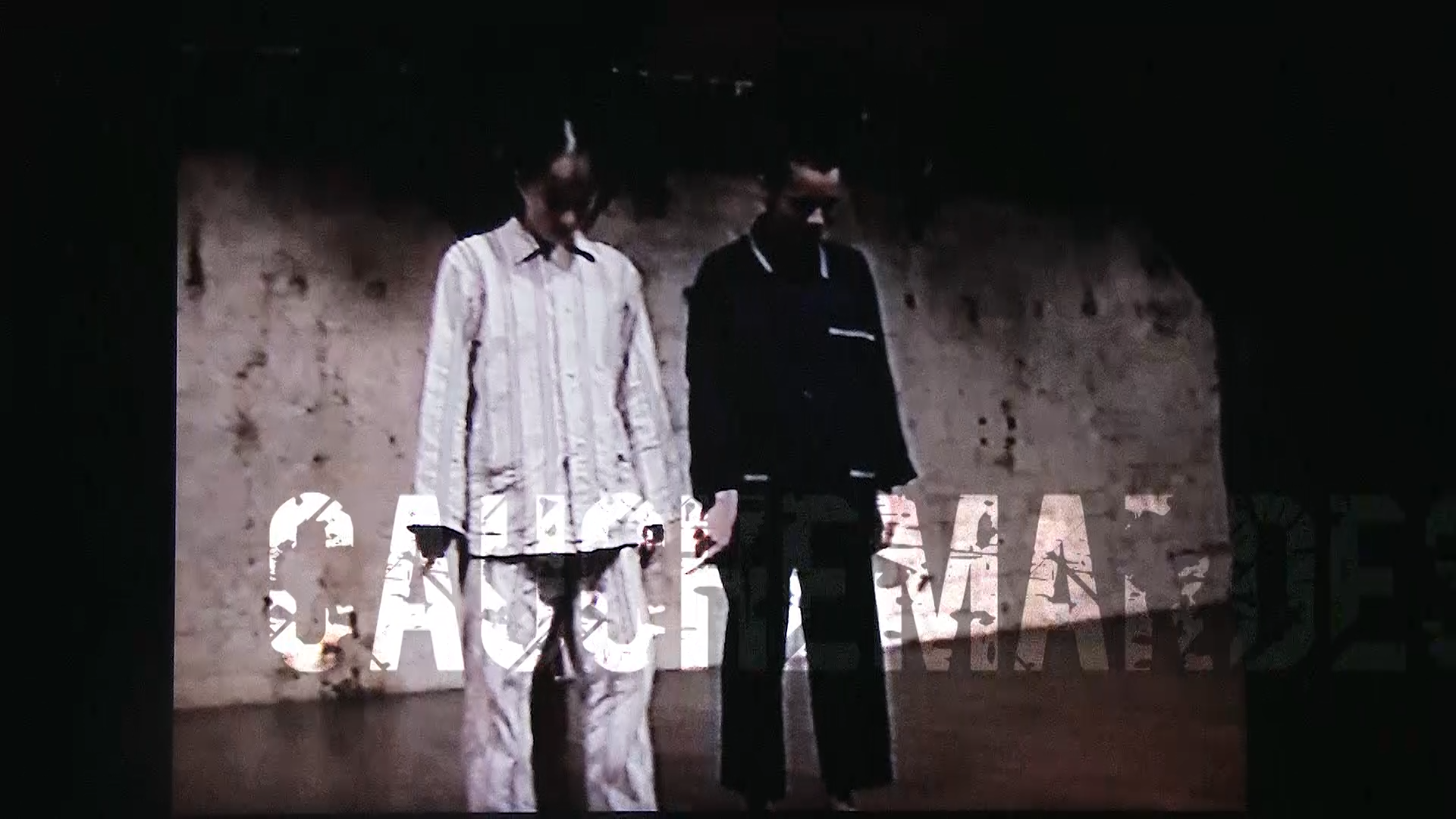 Poulailler/cauchemare. Chor. Marc Joseph SIGAUD Sylvia bongo Milena Gilabert, terry Araujo Kim . Le Regard du cygne