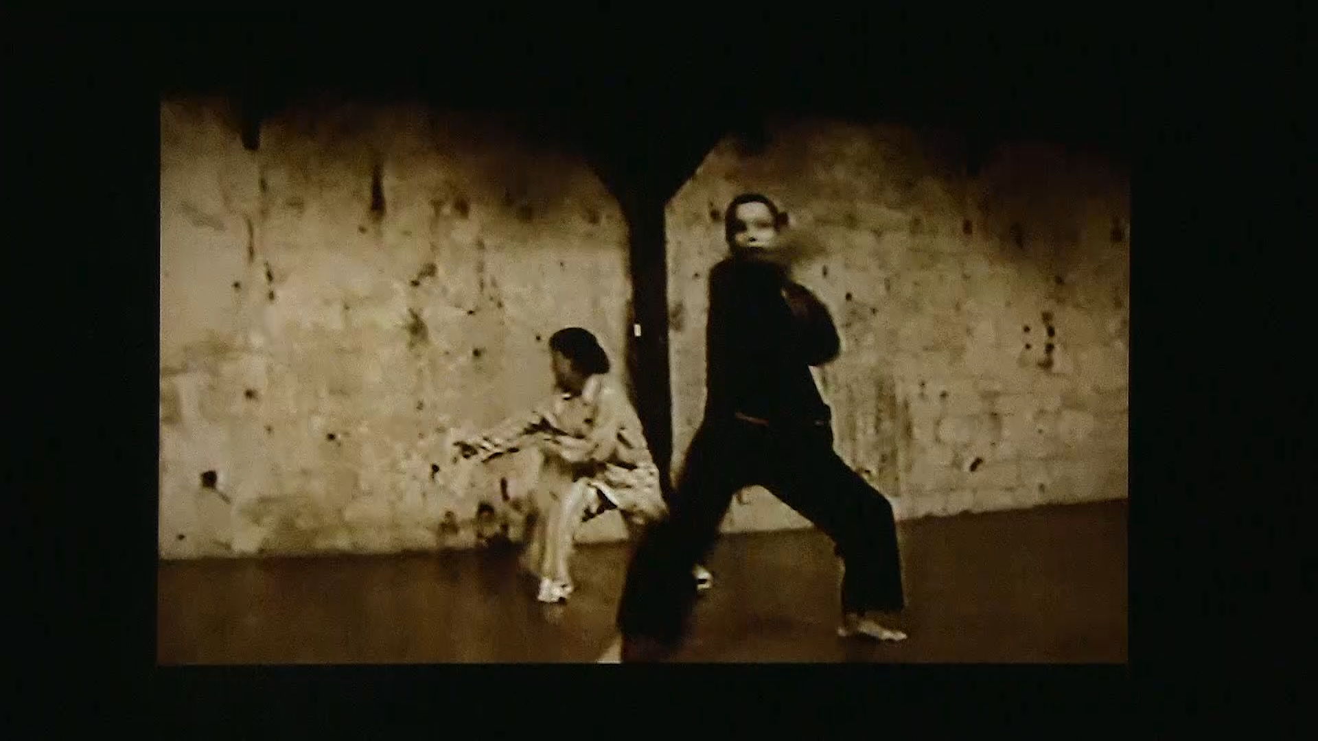 Poulailler/cauchemare. Chor. Marc Joseph SIGAUD Sylvia bongo Milena Gilabert, terry Araujo Kim . Le Regard du cygne