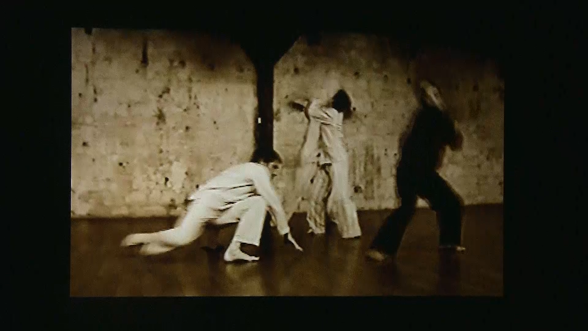 Poulailler/cauchemare. Chor. Marc Joseph SIGAUD Sylvia bongo Milena Gilabert, terry Araujo Kim . Le Regard du cygne
