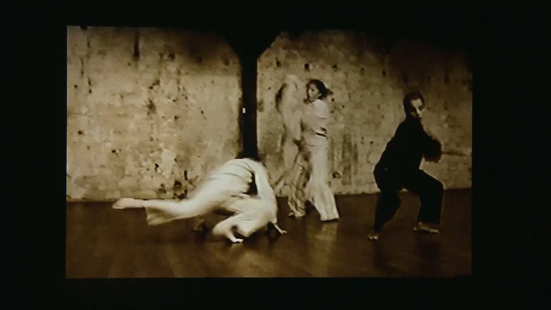 Poulailler/cauchemare. Chor. Marc Joseph SIGAUD Sylvia bongo Milena Gilabert, terry Araujo Kim . Le Regard du cygne