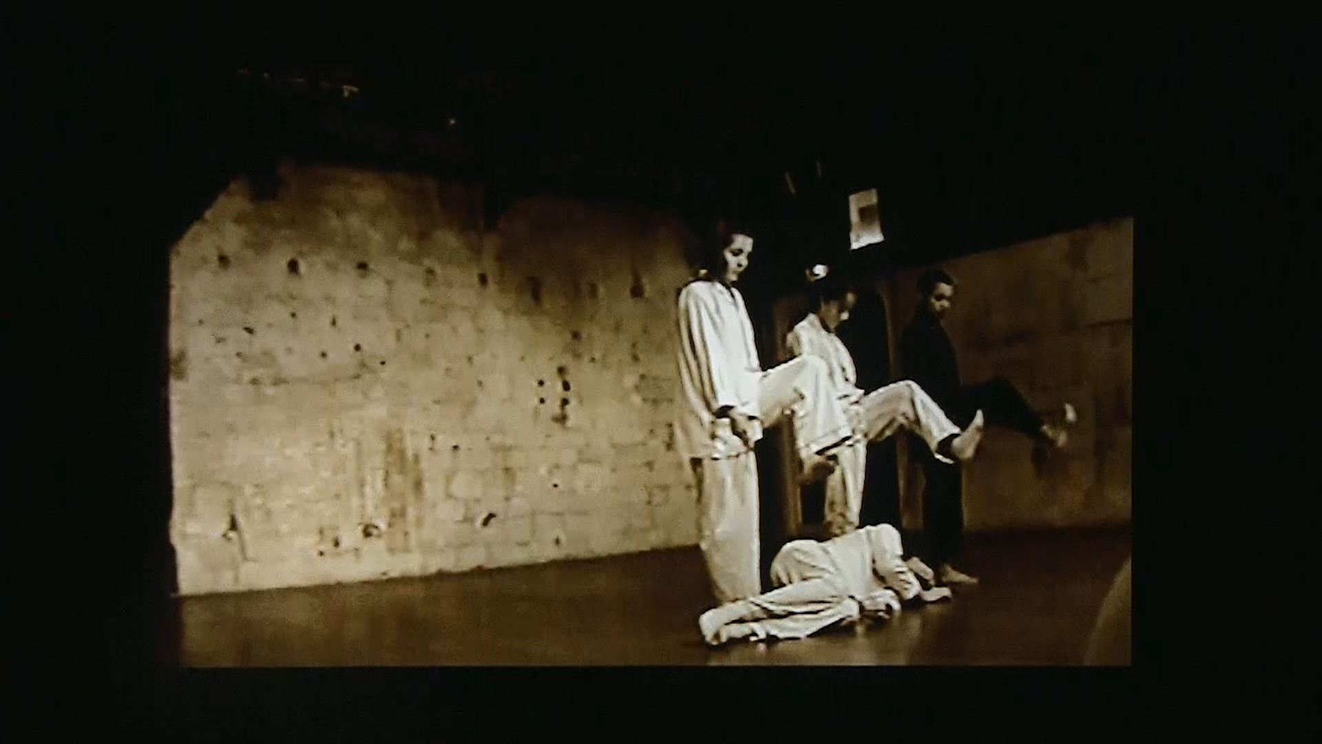 Poulailler/cauchemare. Chor. Marc Joseph SIGAUD Sylvia bongo Milena Gilabert, terry Araujo Kim . Le Regard du cygne